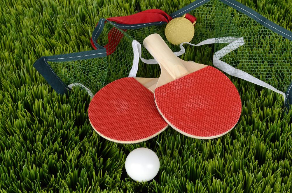 Table Tennis Turf | Recycled Wood Products